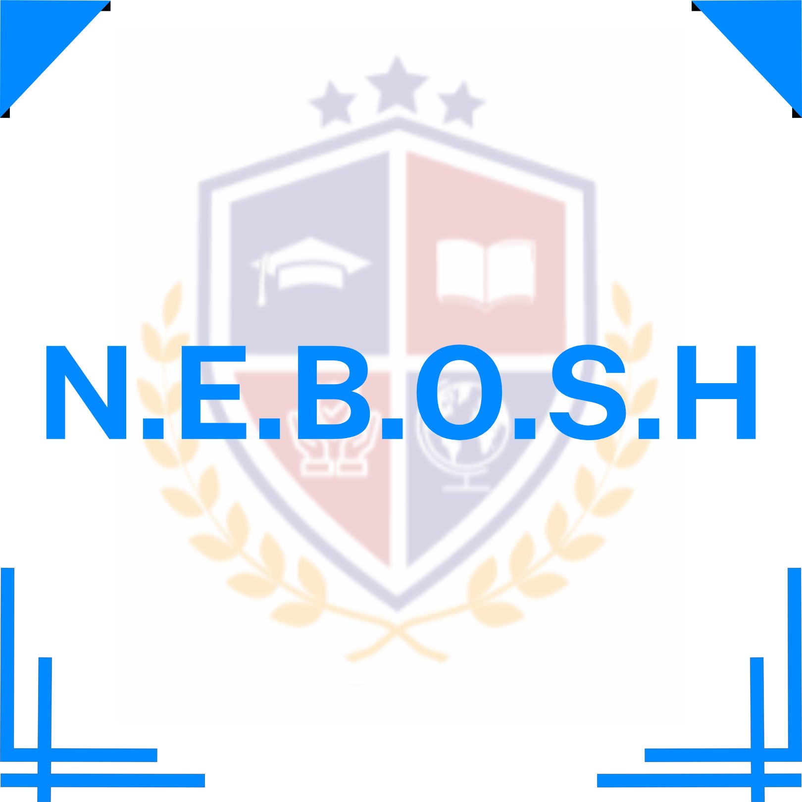 NEBOSH General Certificate Level 03